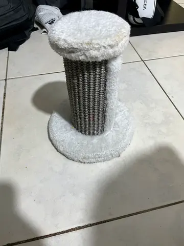 Cat scratch post