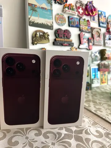 18 pro burgundy 256