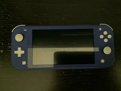 Nintendo switch light