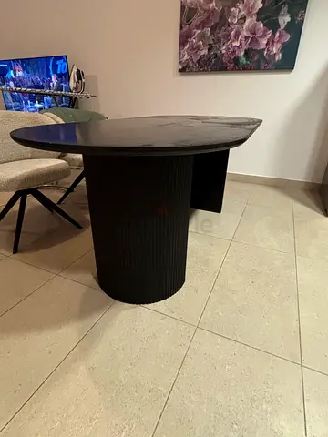 Dining Room and coffee Table