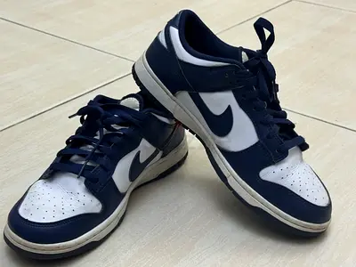 Nike Dunks shoes