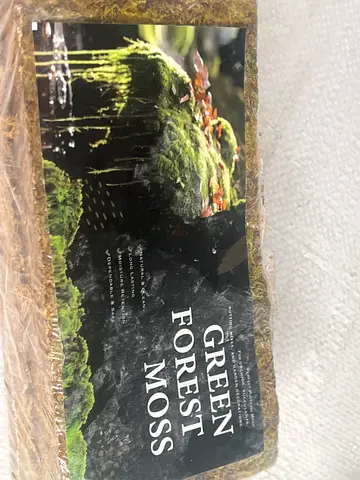 Green Forest Moss Block - Brand New, Unused