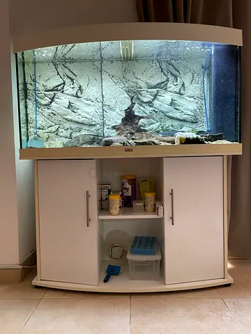 Large Aquarium with Cabinet and Background - Ready Setup