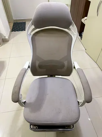 Ergonomic Office Chair with Footrest - Light Grey, Used