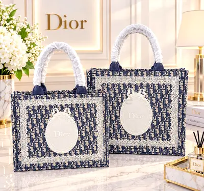 Dior 2pcs Book Tote style navy embroidered canvas bags - set of 2