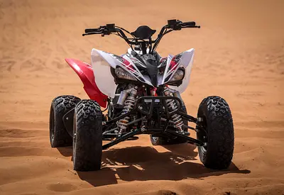 Raizer Cup 250 | 7% Discount | installment & Warranty (quad bike, atv , دراجة رباعية)