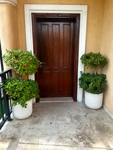 Pottery Barn pots with plants