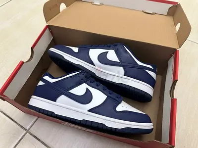 Nike Dunks shoes