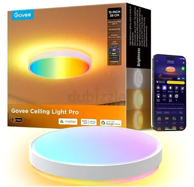 Govee ceiling light pro