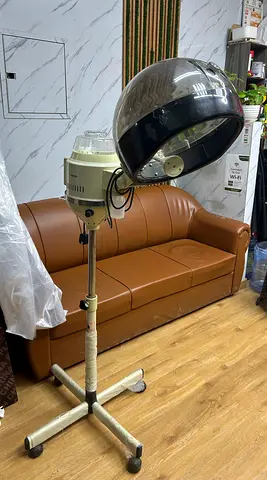 Hair and Face steamer