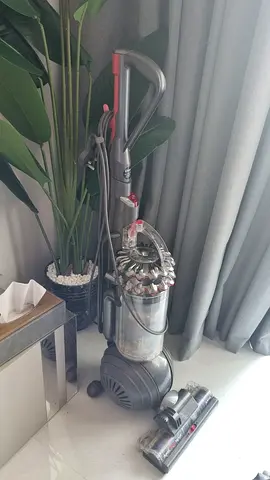 Dyson Cinetic Big Ball Animal Canister Vacuum Cleaner