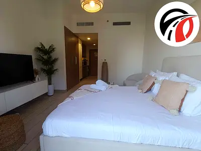 Luxurious Furnished Studio Stunning Buleward view