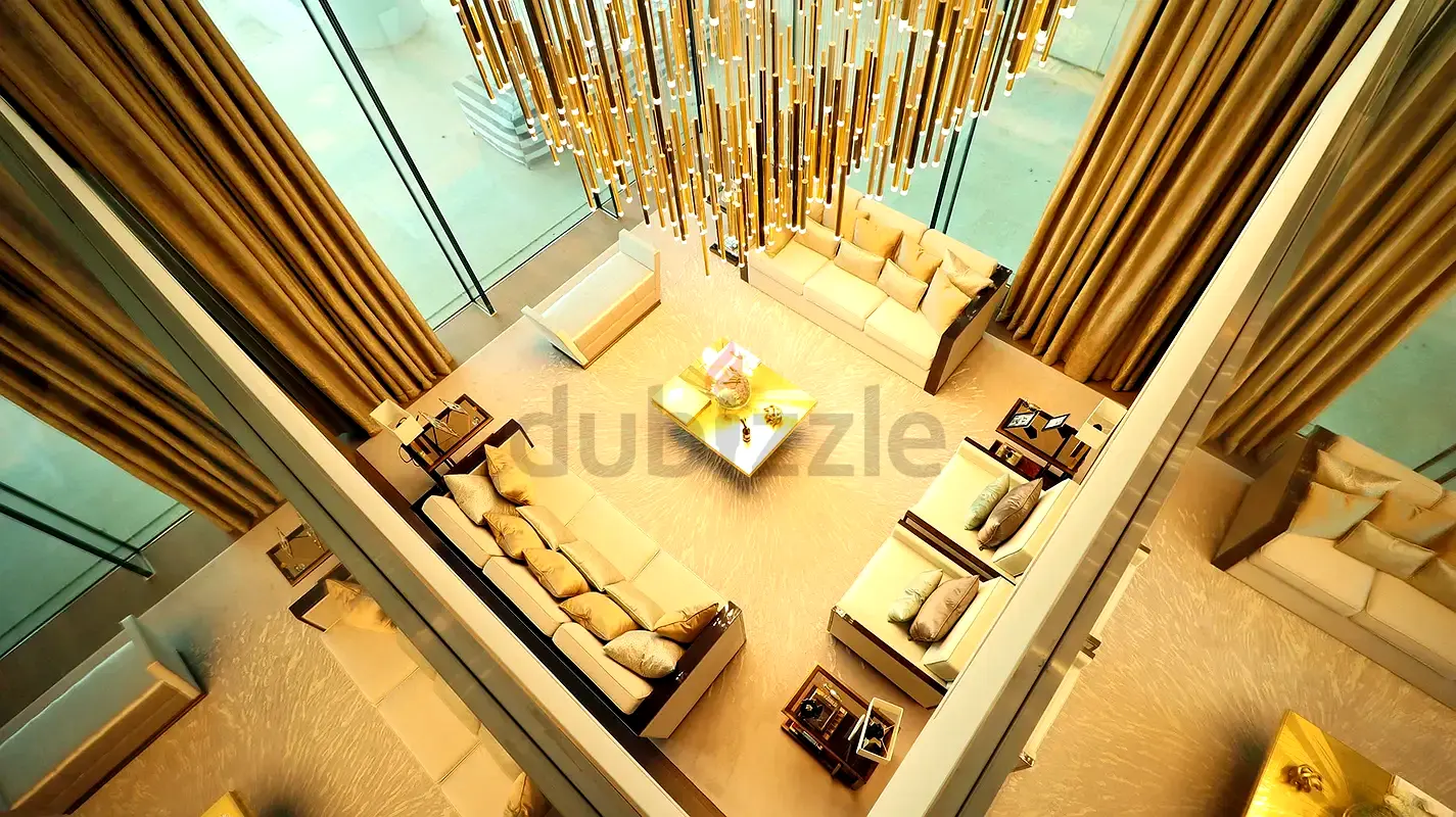 DPV_View_Image_2