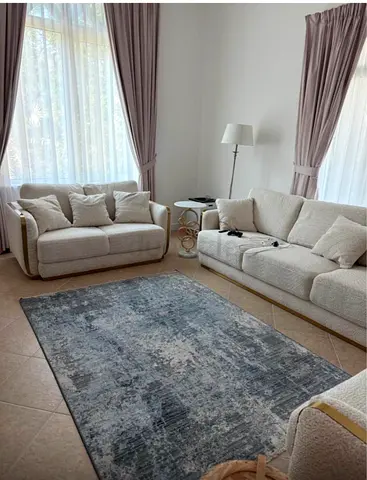 Rug 160*230