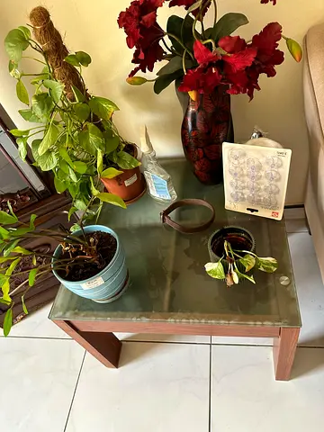 Small wooden side table with glass top - good condition