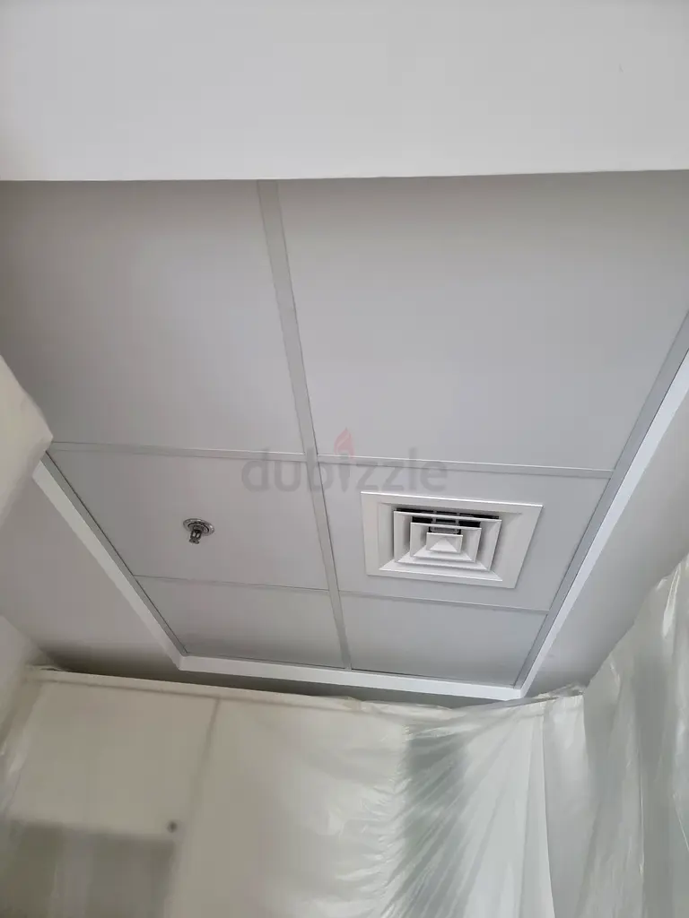 DPV_View_Image_8