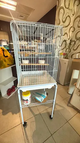 White metal bird cage on stand with accessories