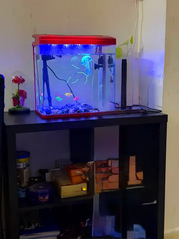 Fish tank with table