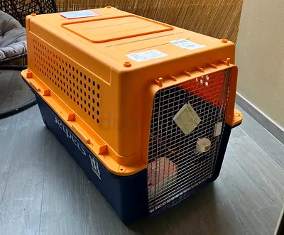 Dogs carriers for air travel extra large