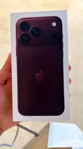 18 pro max burgundy
