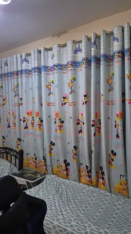 Curtain