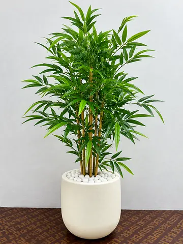 Artificial Bamboo Plant in White plastic  Pot — Ready to Display