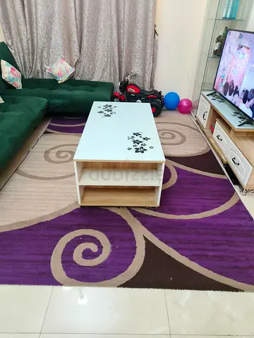 Elite Carpet - 200*300
