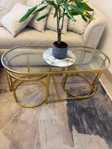 Glass and Gold Metal Oval Coffee Table (2-tier) - Good Condition
