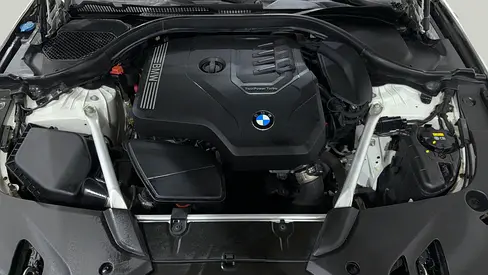 2020 BMW 5-SERIES 照片 13