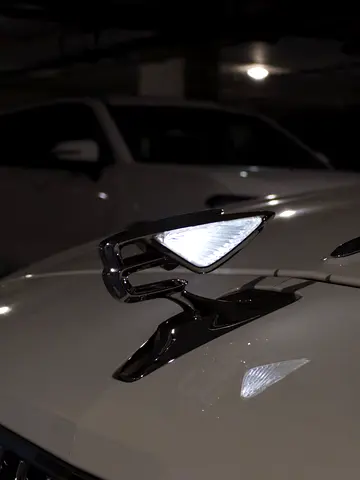 2020 Bentley FLYING SPUR 照片 8