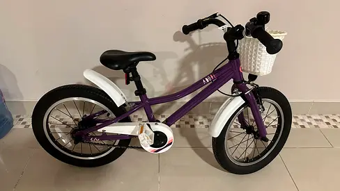 Kids' Liv Adore 16-inch Bike with Training Wheels and Basket - Excellent Condition