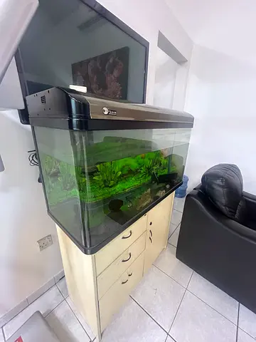 Fish tank for sale