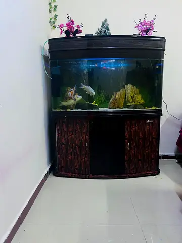 Aquarium