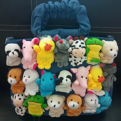 Mini Teddy Handbag (Brand New)