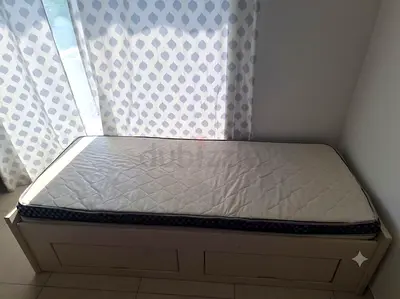 Single pull-out daybed with storage - good condition