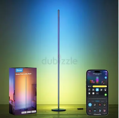 Govee floor lamp basic