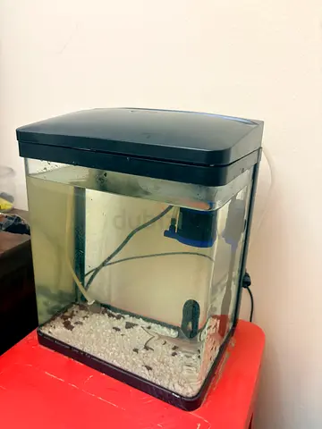Small Glass Fish Aquarium Tank with Filter and Light - Used