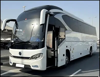 Navigator Golden Dragon