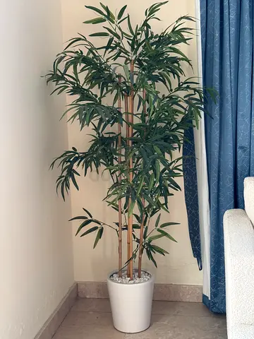 Artificial Bamboo Tree with White Pot