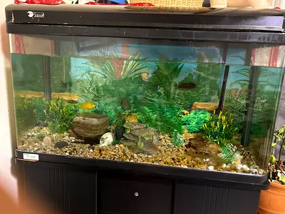 Large Fish Tank with Cabinet and Accessories