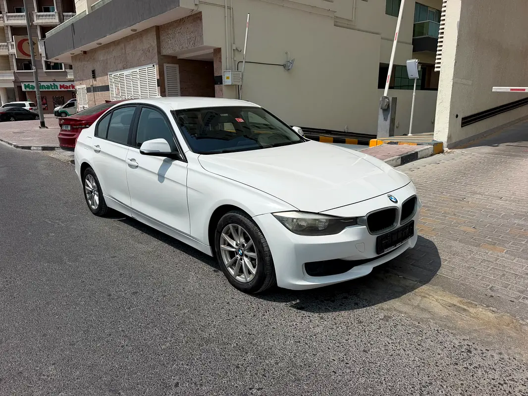 2015 BMW 3-Series 316i