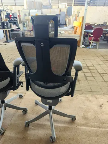 Ergonomic Mesh Office Chair with Adjustable Headrest