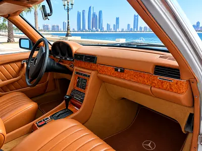 1980 Mercedes-BENZ SEL/SEC 照片 7