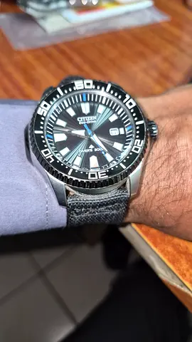 Citizen Eco Drive 300 m