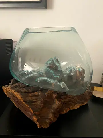 Glass bowl vase on natural driftwood base - decorative centerpiece West Elm Terrarium