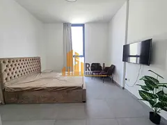 Lavish _Spcious Studio _with side kitchen _And pool view