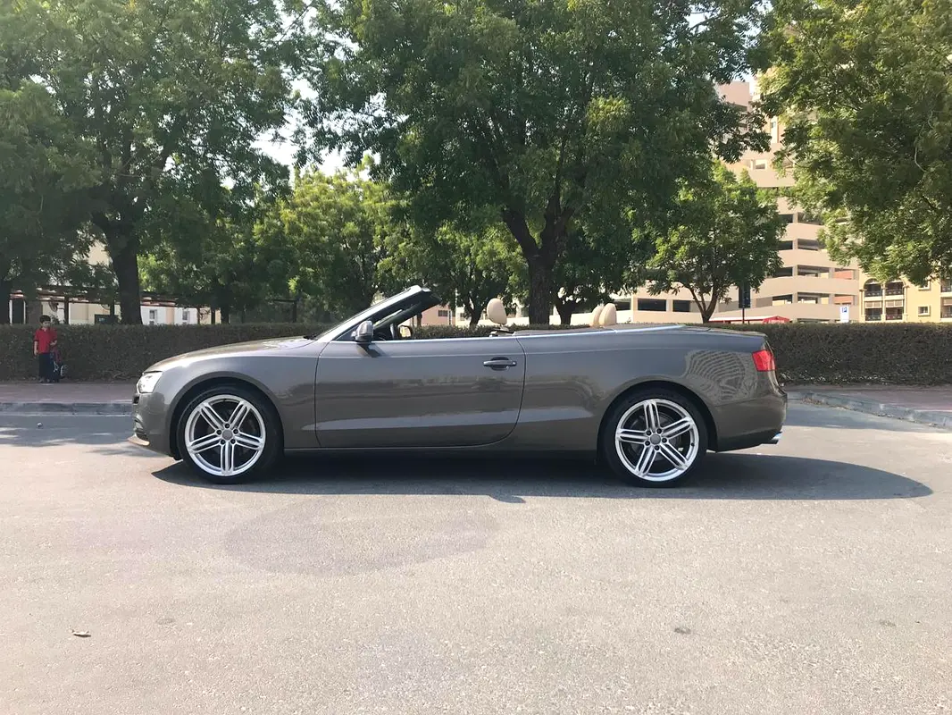 gallery-image