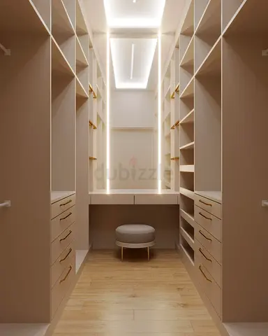 Modern Built-in Walk-in Closet with Shelving and Drawers