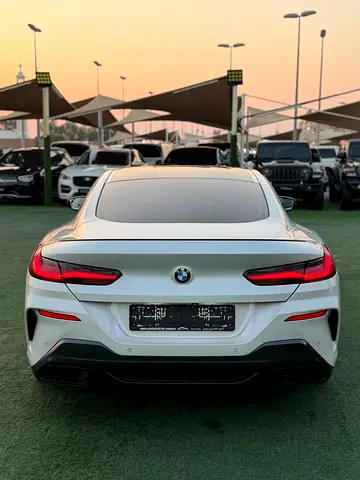 2020 BMW 8-SERIES 照片 6