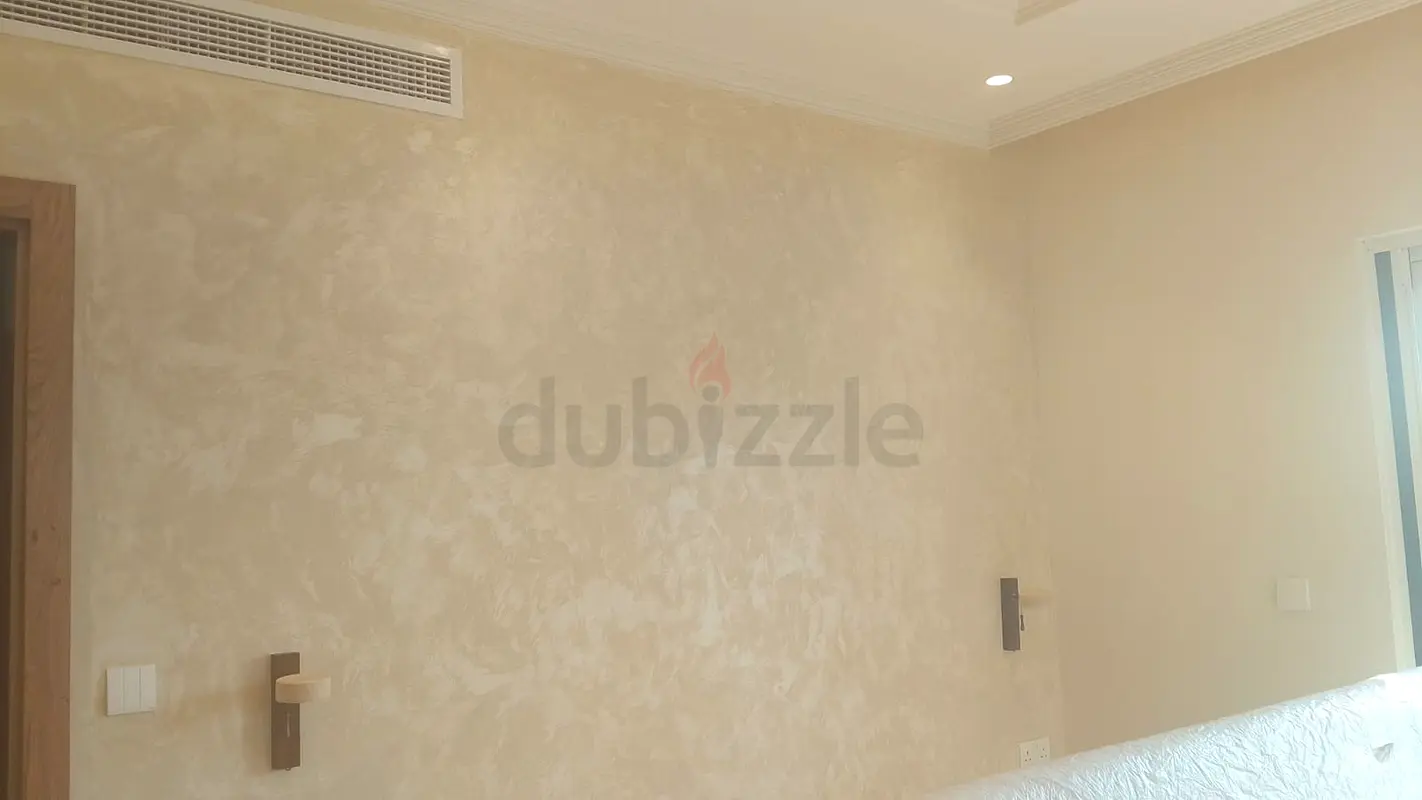 DPV_View_Image_2